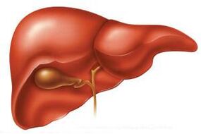 Na fase aguda da helmintiase, o fígado pode aumentar de tamaño